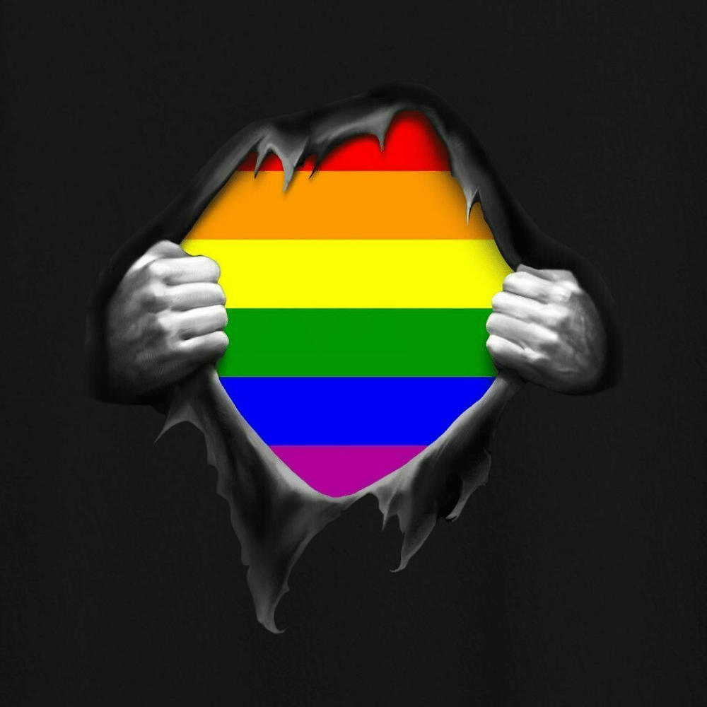 LGBT Gay Pride Tee Shirt